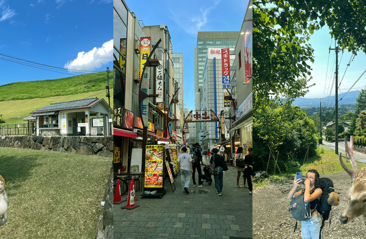 Partir seule au japon